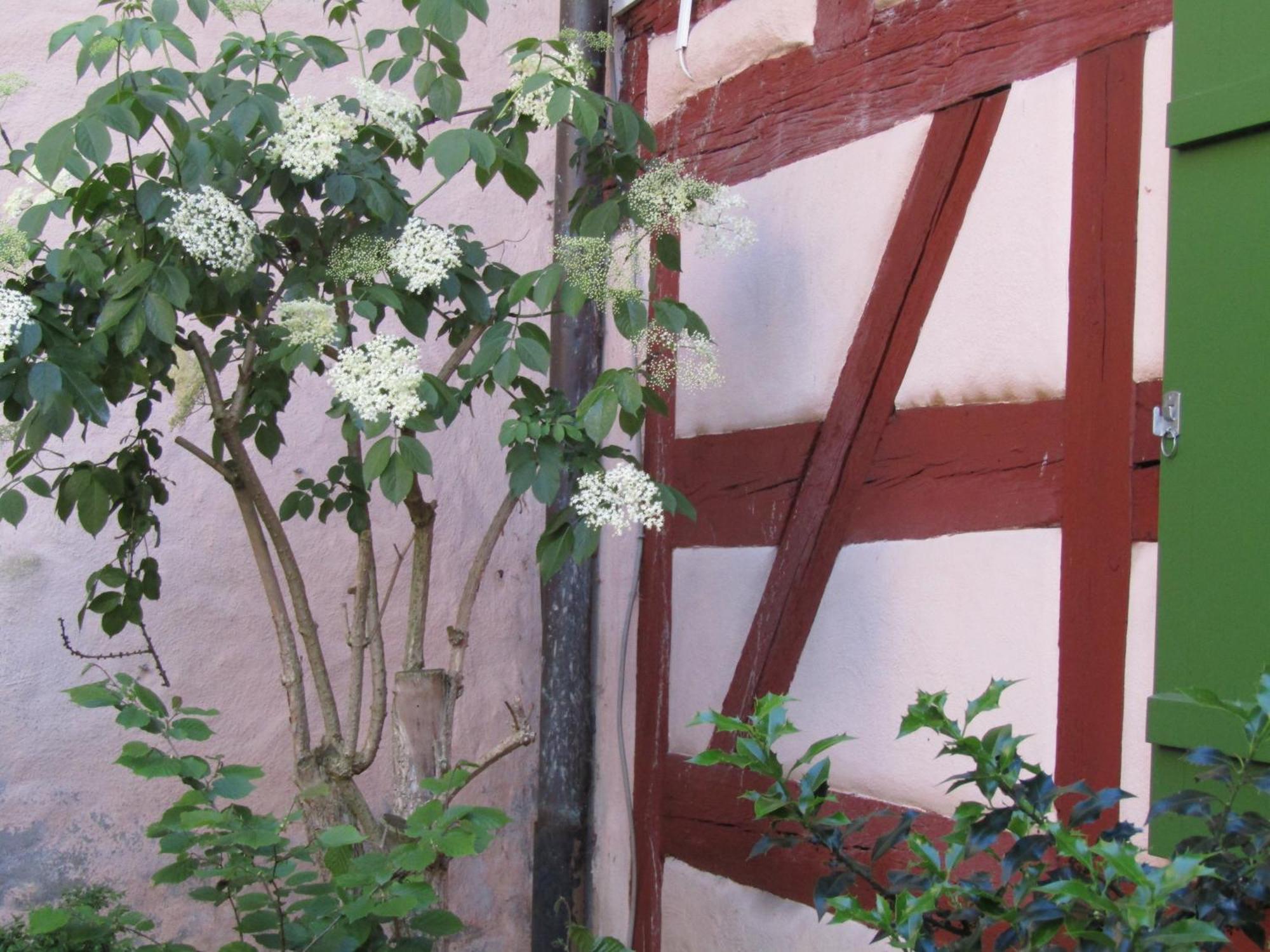 Hotel Und Gasthof Ritter St. Georg Erlangen Exterior foto